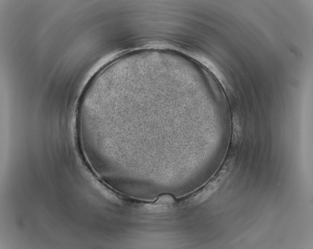 X0000113261142200910011402