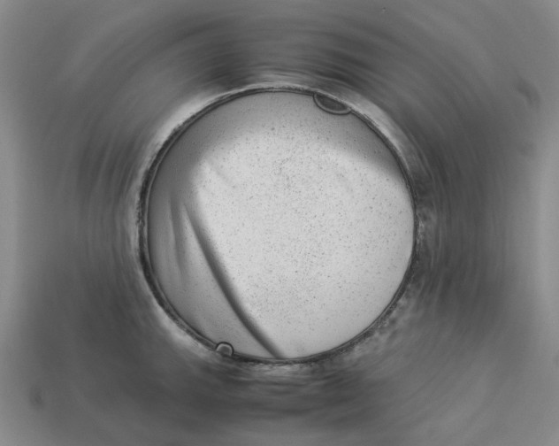 X0000113261143200910011402