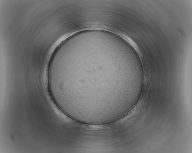 X0000113261144200910011402