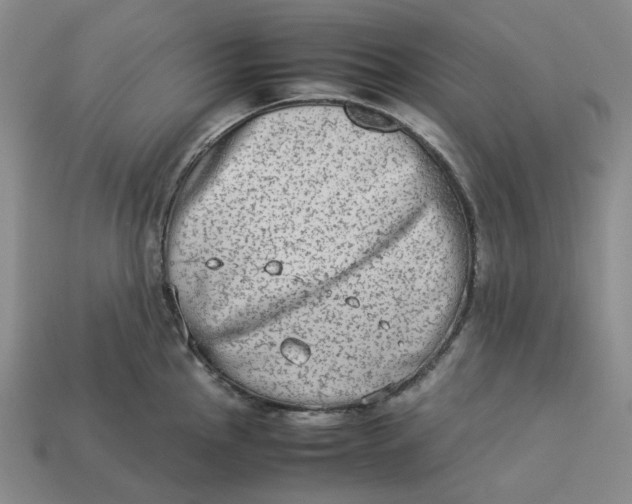 X0000113261145200910011402