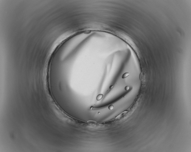 X0000113261146200910011402