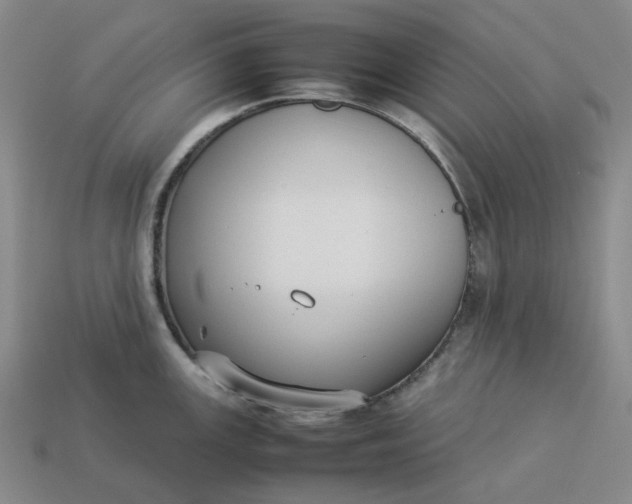 X0000113261147200910011402