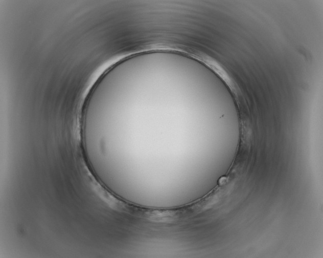 X0000113261148200910011402