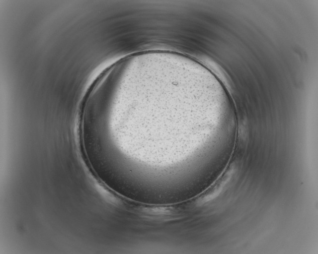 X0000113261149200910011402