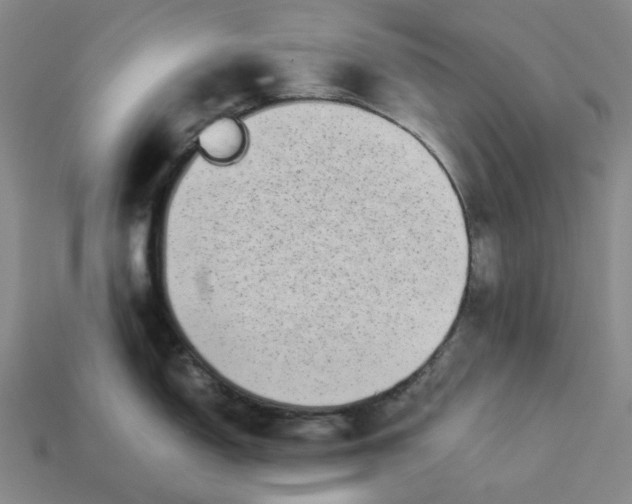 X0000113261150200910011402