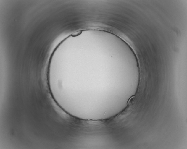 X0000113261152200910011402