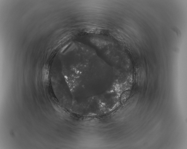 X0000113261154200910011401