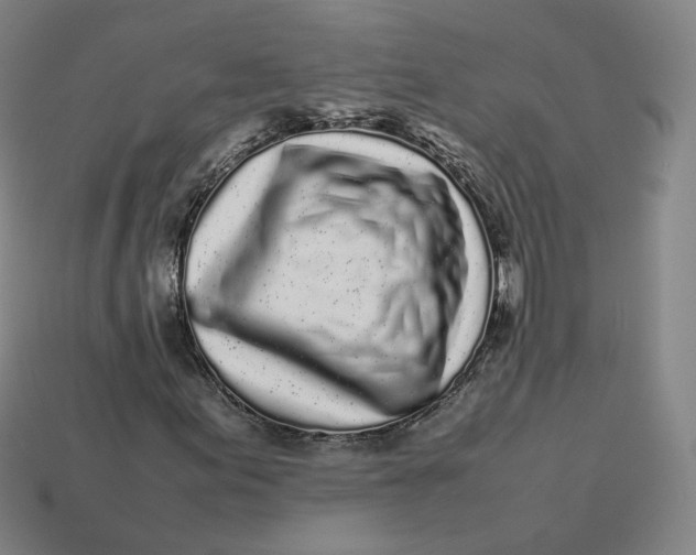 X0000113261155200910011401