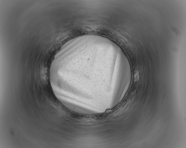 X0000113261156200910011401