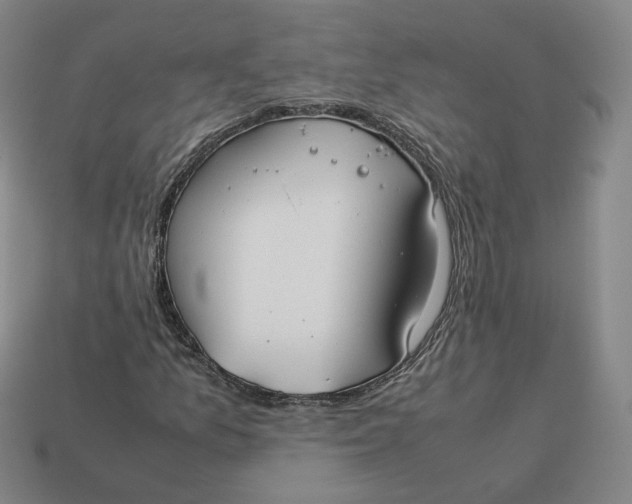 X0000113261157200910011401