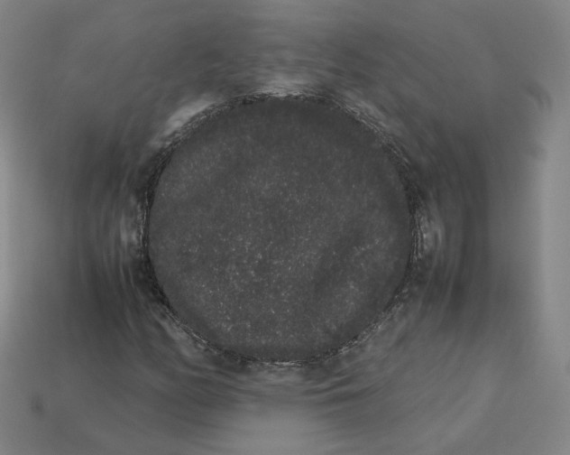 X0000113261158200910011401