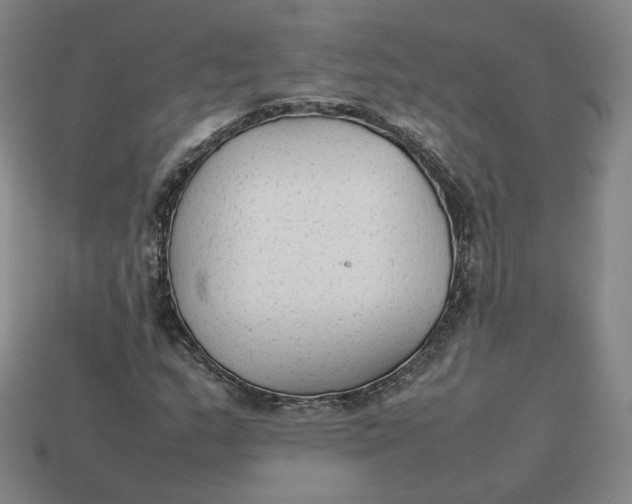 X0000113261159200910011401