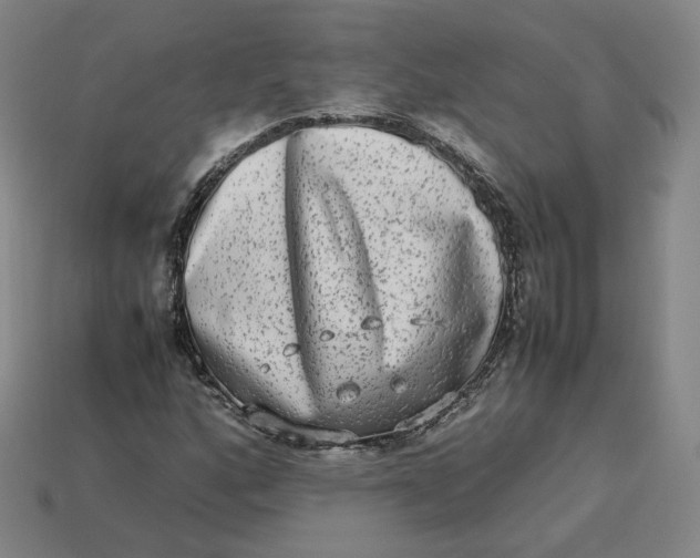 X0000113261160200910011401