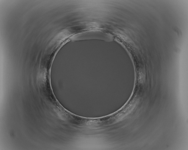 X0000113261161200910011401