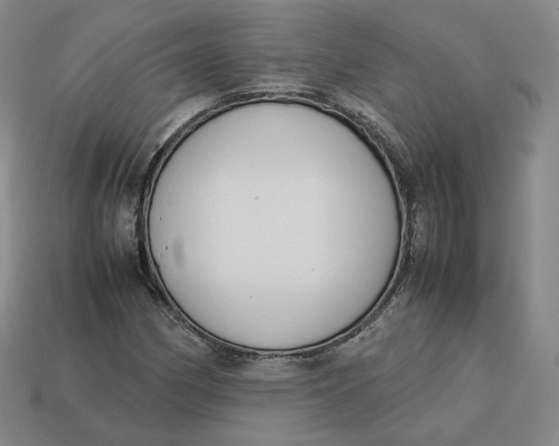 X0000113261162200910011401