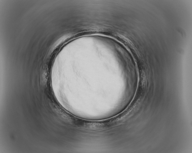 X0000113261163200910011401