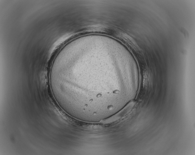 X0000113261164200910011401