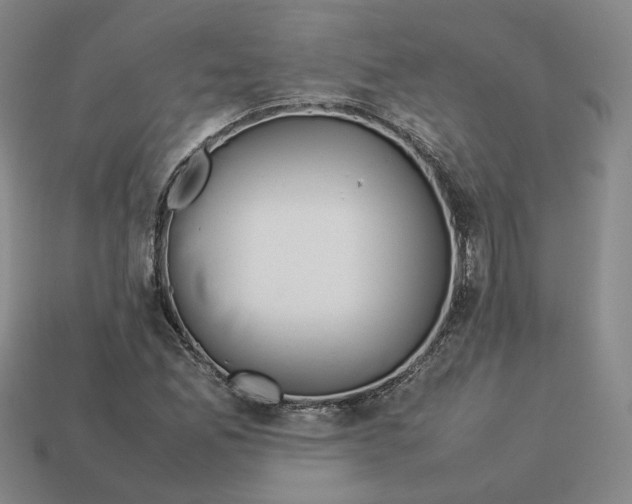 X0000113261165200910011401