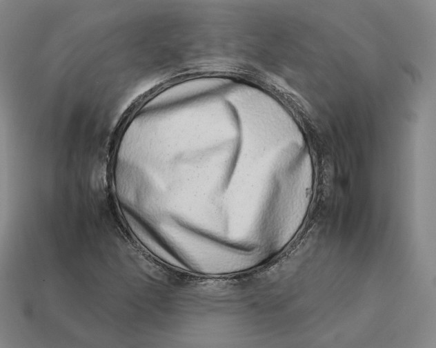 X0000113261166200910011401