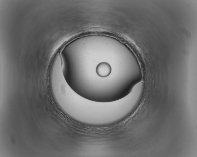 X0000113261167200910011401