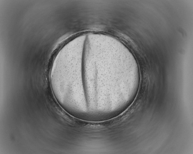 X0000113261168200910011401