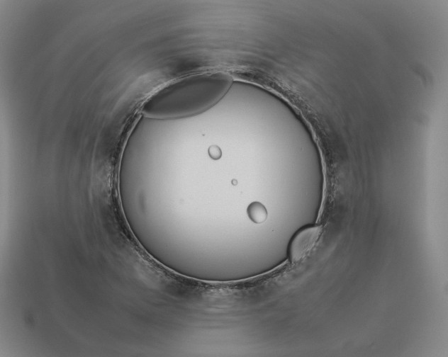 X0000113261169200910011401