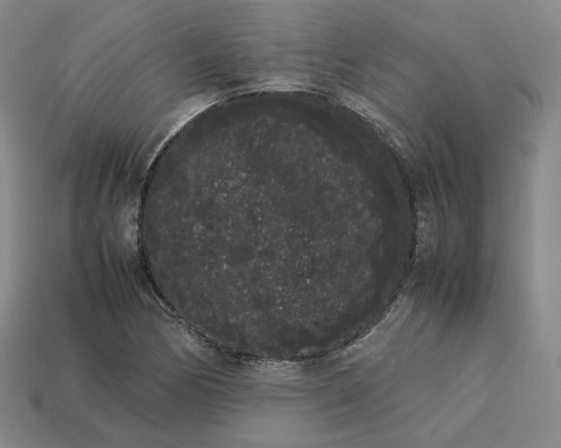 X0000113261170200910011401