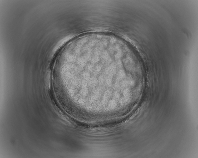 X0000113261171200910011401