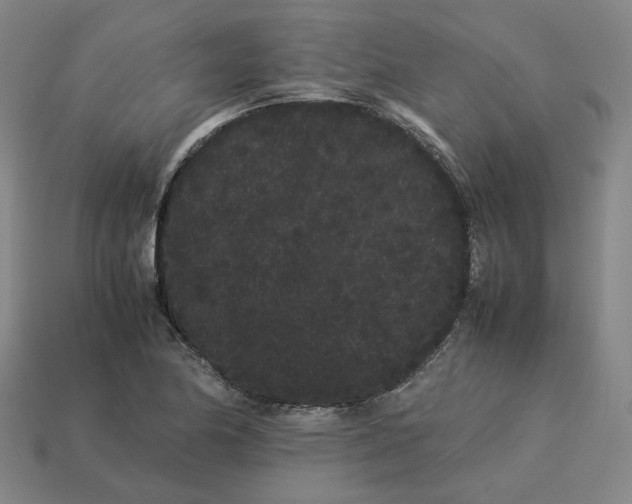 X0000113261174200910011401