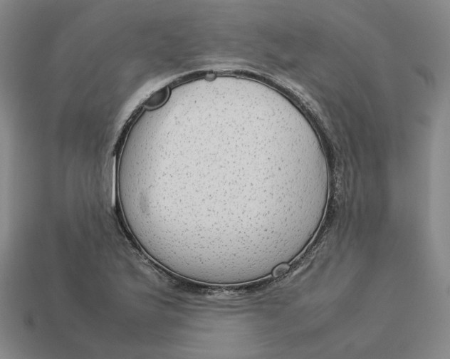 X0000113261175200910011401