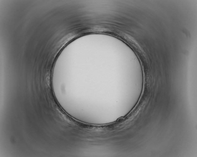 X0000113261177200910011401