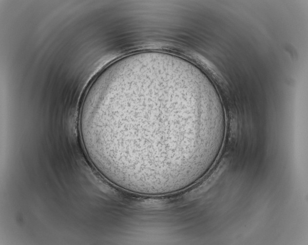 X0000113261178200910011401