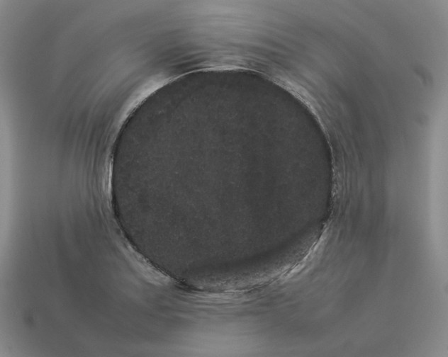 X0000113261179200910011401