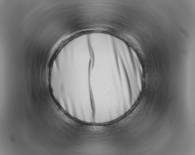 X0000113261180200910011401