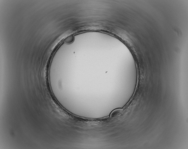 X0000113261181200910011401