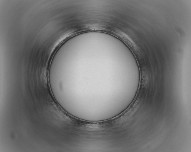 X0000113261182200910011401