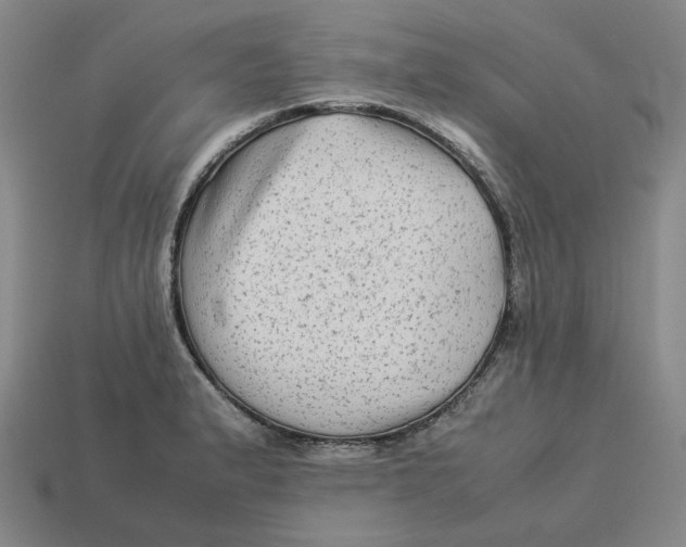 X0000113261183200910011401