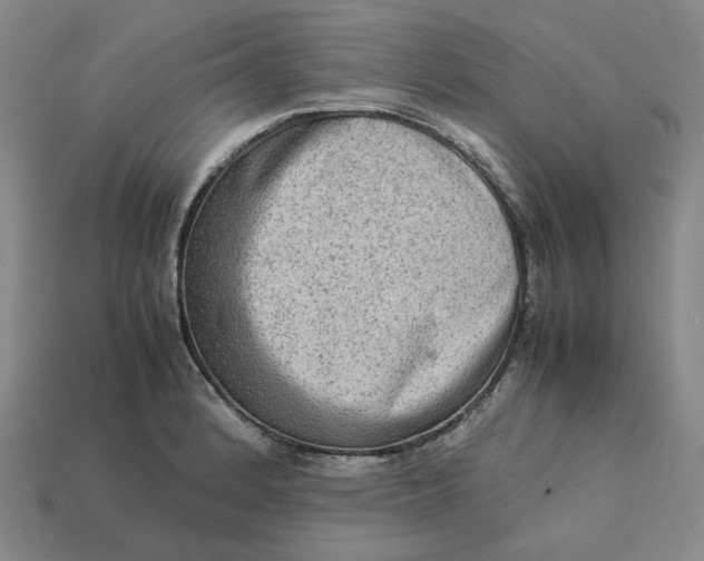 X0000113261184200910011401