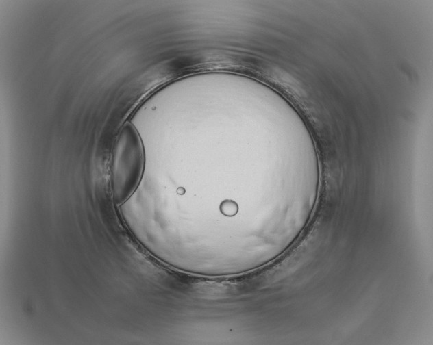 X0000113261185200910011401