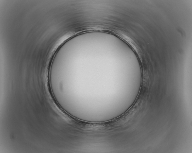 X0000113261187200910011401