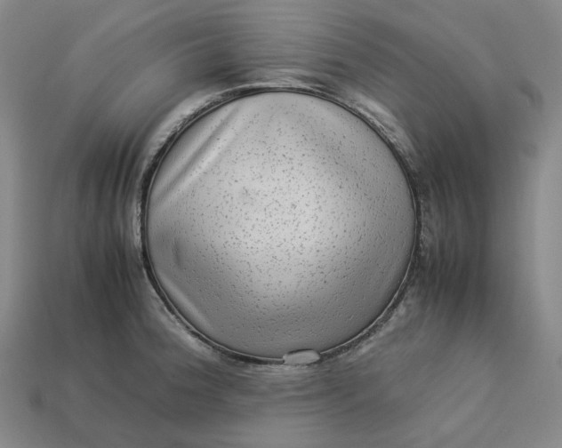 X0000113261188200910011401