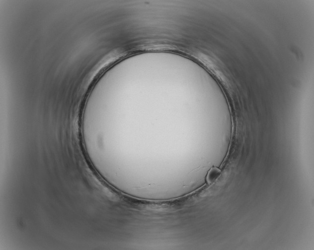 X0000113261189200910011401