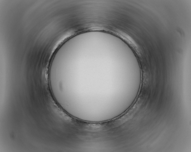 X0000113261190200910011401