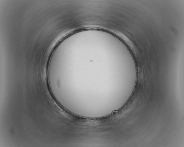 X0000113261191200910011401