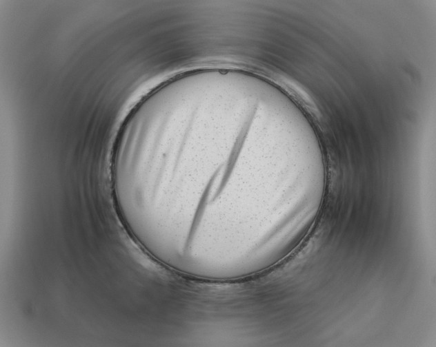 X0000113261192200910011401