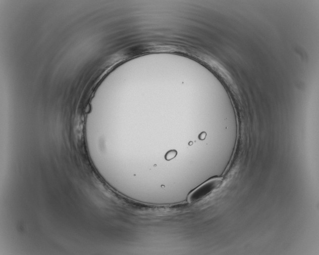 X0000113261193200910011401