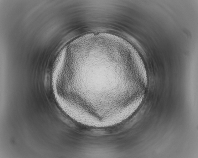 X0000113261194200910011401