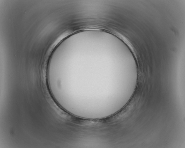 X0000113261195200910011401