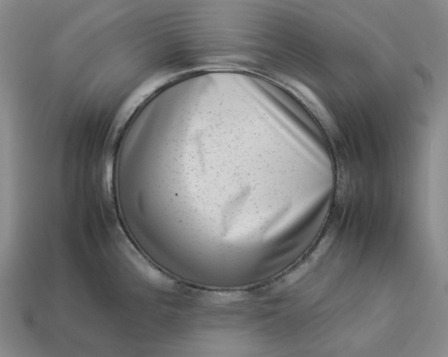 X0000113261196200910011401