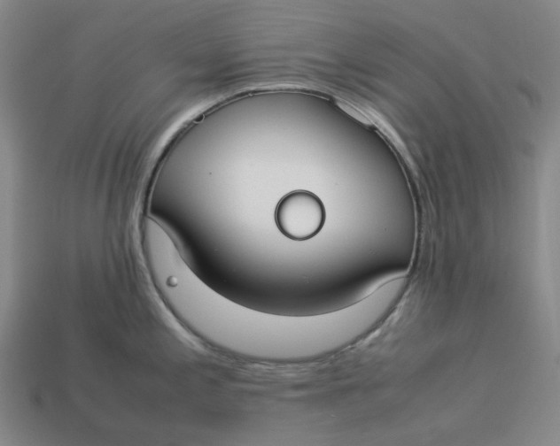 X0000113261197200910011401